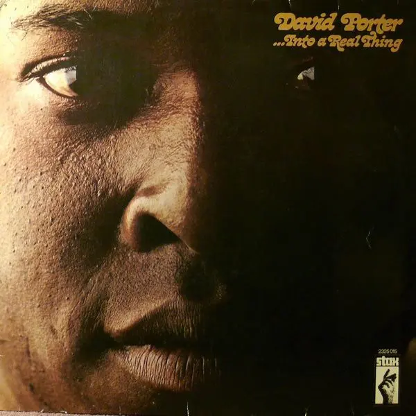 David Porter – Into a Real Thing